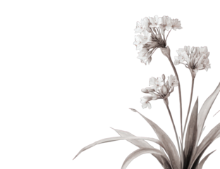Grayscale floral arrangement