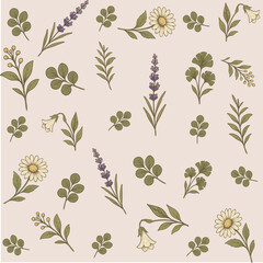 Botanical design featuring various flowers and leaves on a soft background