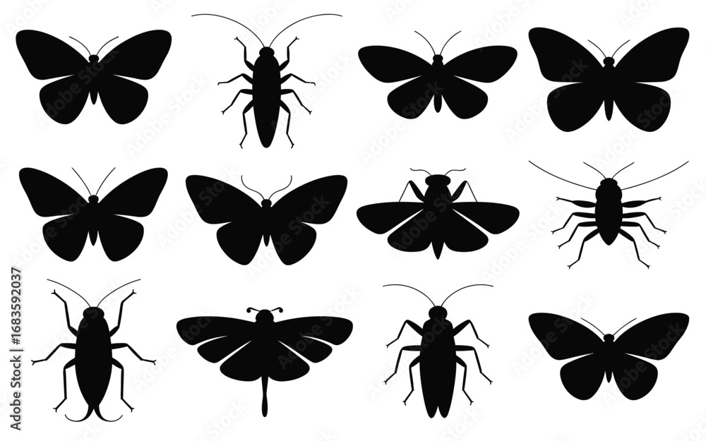 Poster vector art of collection of butterfly and bug silhouettes, featuring various moth and insect species