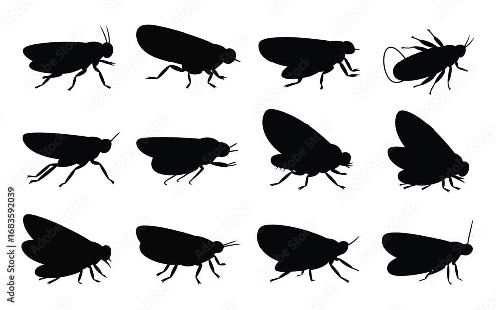 Poster vector art of collection of leafhopper silhouettes, showcasing diverse shapes and forms of these ins