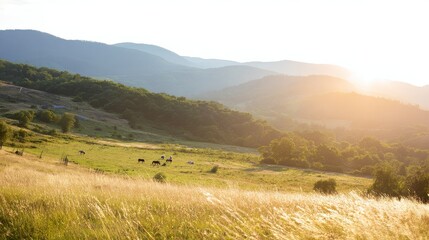 Obraz premium Countryside meadow with grazing horses under golden sunset, serene high-resolution pastoral landscape scene.