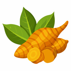 Turmeric Roots and Leaves