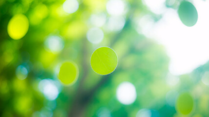 Vibrant green leaf detail with soft bokeh background, evoking nature's freshness and tranquility