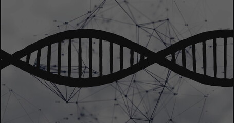 Displaying DNA helix silhouette in abstract digital view with network nodes, lines, labels