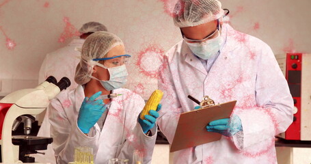 Two scientists wearing protective gear injecting corn with pipette at lab bench with virus overlays