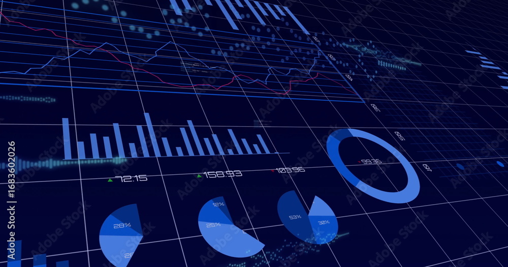 Poster displaying bar chart, pie and ring charts, line graphs with numeric labels in grid dashboard