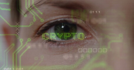 Adult woman's right eye showing CRYPTO text with binary code, circuit patterns in digital interface