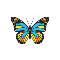 A colorful butterfly with blue yellow and orange wings and black borders isolated on white background