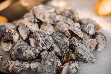 Fresh raw oysters in a seafood market for sale