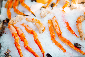 Claw of a crabs seafood on the ice. Luxury crab meat.