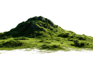 Lush green hilltop against black background