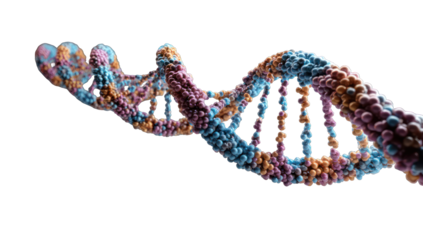 3D rendering of DNA helix