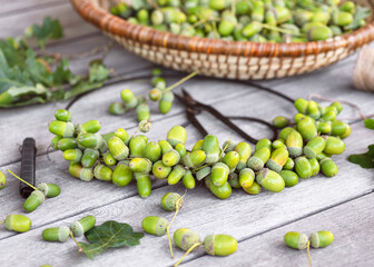 Step 3. Start by wrapping twine tightly around the metal wreath frame to create a base for attaching the acorns. Make sure it’s secure and evenly covered. Step by step DIY concept
