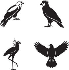 Obraz premium Black silhouette of birds of prey isolated on white background vector illustration