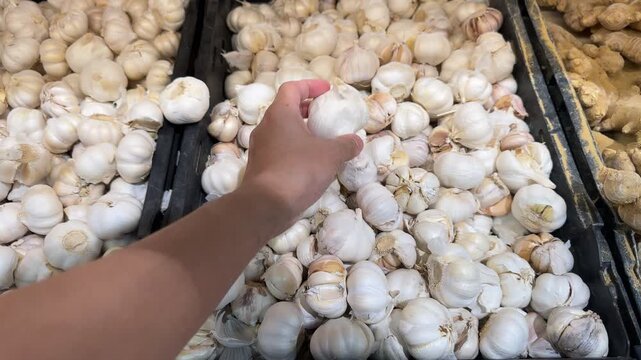 Close-up of hands selecting fresh garlic bulbs from a large pile at a grocery store or market