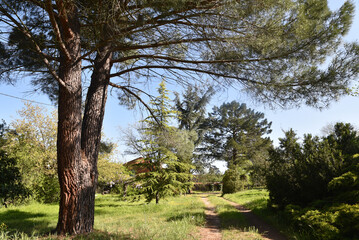 Jardin méditerranéen au printemps