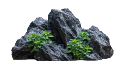 Gray rock formations with greenery