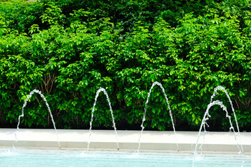 fountain in the park