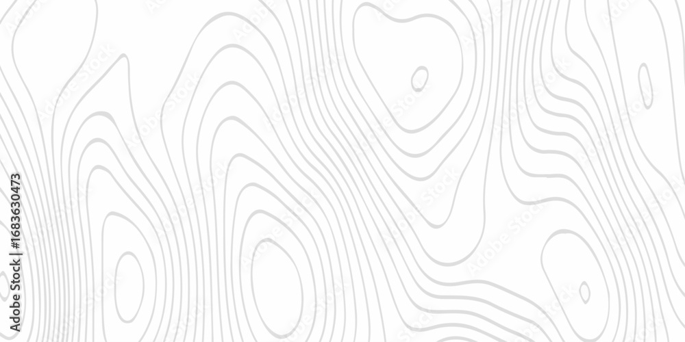 Poster contour abstract map relief land outline. topographic map patterns. white wave paper curved reliefs 