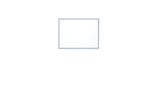 Blank white square framed by a thin gray border
