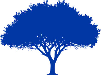Fototapeta premium cobalt blue tree silhouette a symbol of strength, resilience, and timeless growth, isolated on transparent background