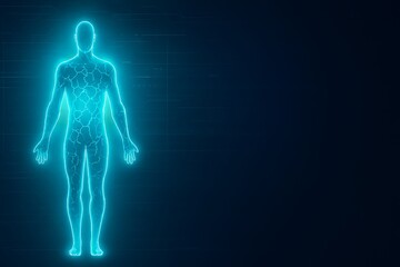 2D Illustration of Human Male Muscular Body Anatomy