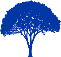 Fototapeta premium majestic cobalt blue tree silhouette a symbol of quiet strength, enduring resilience, and serene growth, isolated on transparent background