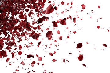 Red rose petals scattered on a dark background