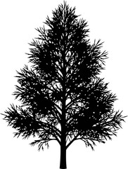 Obraz premium majestic evergreen tree silhouette natures timeless symbol of strength, resilience, and enduring growth, isolated on transparent background