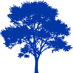 Obraz premium serene blue tree silhouette natures quiet strength, enduring peace, and timeless beauty, isolated on transparent background