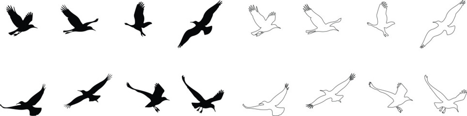Obraz premium Silhouetted and Outlined Birds in Flight A Study of Avian Movement
