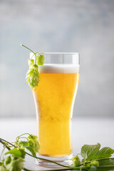 Cold foam beer with hops in a glass on the table.Oktoberfest concept