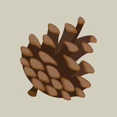 Open fir or pine cone. Vector illustration, flat style.