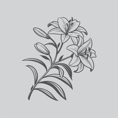 Alstroemeria Elegant Vintage Botanical Ink Artwork