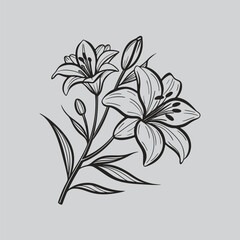 Alstroemeria Handcrafted Botanical Ink Flower Art
