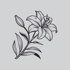 Alstroemeria Minimalist Botanical Flower Line Art