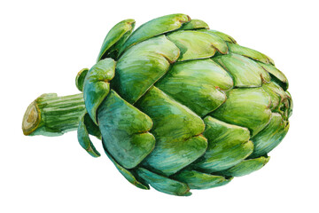 Obraz premium Watercolor of a fresh green artichoke isolated on transparent background