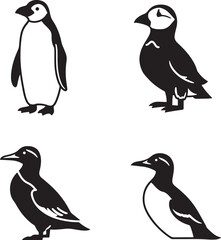 Obraz premium Penguin Puffin Auk and Guillemot Silhouettes Collection Wildlife Vector Illustration Isolated on White Background