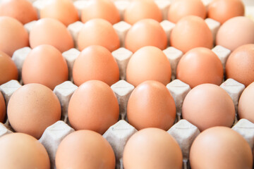 Farm fresh eggs in the cardboard package 