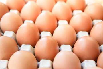 Farm fresh eggs in the cardboard package 