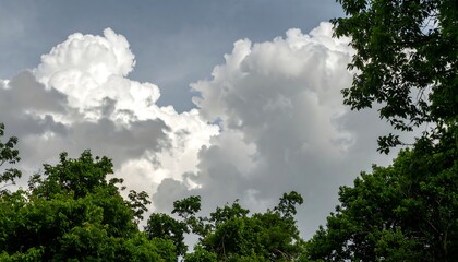 Dramatic cumulus clouds gather over lush green trees, showcasing a dramatic sky.