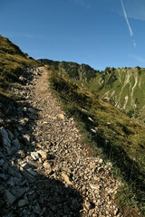 Hiking trail on the ascent to Mount Brecherspitz, view of the nearby ridge