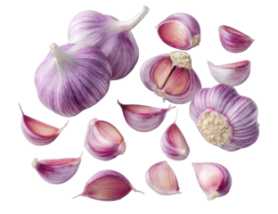 Close-up of purple garlic bulbs and cloves