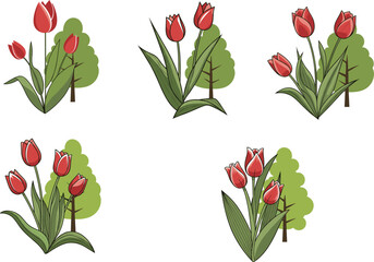 Red tulips vector clipart with green trees, spring flower bouquet illustration, botanical floral art, garden plant drawing, nature vector
