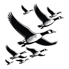 vector illustration of a flying eagle