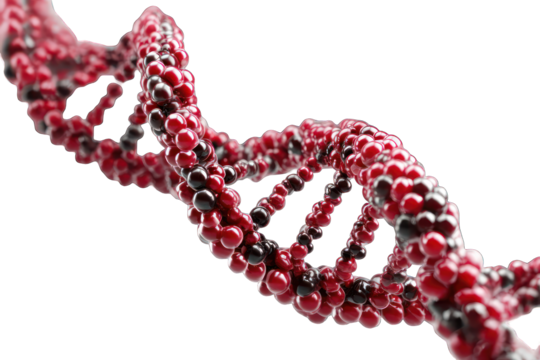 3D rendering of DNA helix