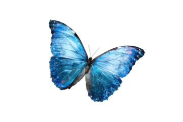 A vibrant,  blue butterfly in flight