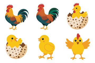 Farm rooster and hen vector illustrations, chicken, baby chicks, poultry icons, rural agriculture graphics, countryside lifestyle design set,
