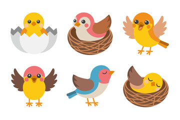 Poultry icon set vector illustrations, chicks hatching eggs, birds in nests, mother hen care scenes, farm life graphics