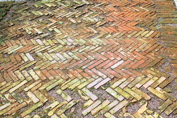 An old, chipped, moldy sidewalk.